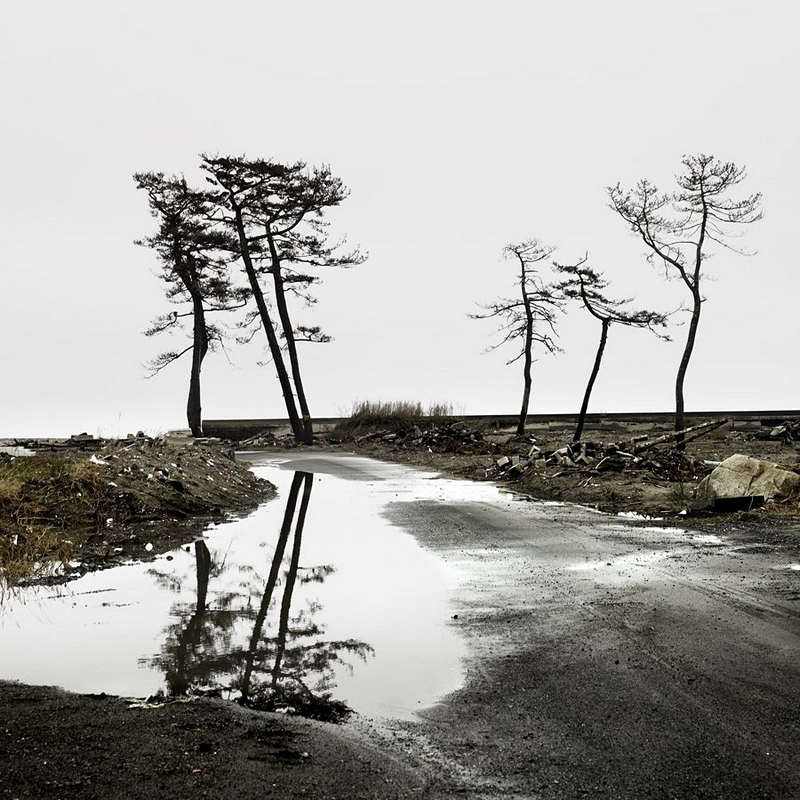 photo low tide