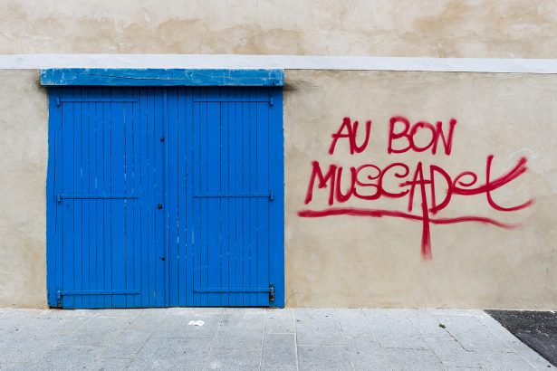 Porte de garage bleue avec à coté une inscription rouge